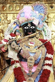 Gadhada Temple Murti Darshan