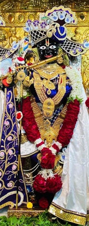 Gadhada Temple Murti Darshan