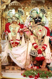 Gadhada Temple Murti Darshan