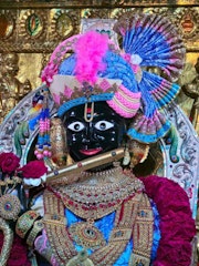 Gadhada Temple Murti Darshan
