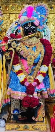 Gadhada Temple Murti Darshan