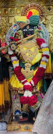 Gadhada Temple Murti Darshan