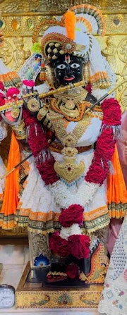 Gadhada Temple Murti Darshan