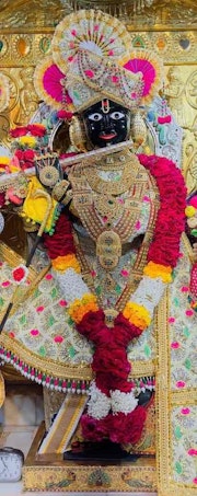 Gadhada Temple Murti Darshan