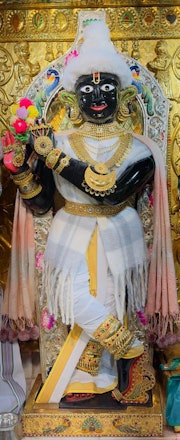Gadhada Temple Murti Darshan