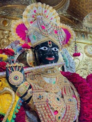 Gadhada Temple Murti Darshan