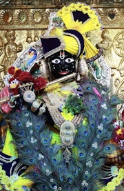 Gadhada Temple Murti Darshan