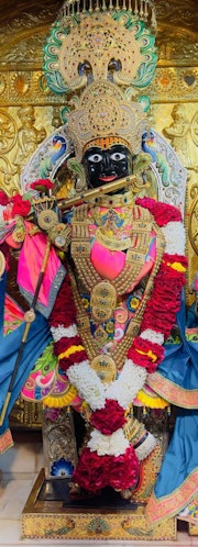 Gadhada Temple Murti Darshan