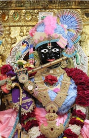 Gadhada Temple Murti Darshan