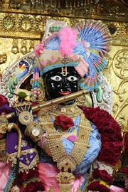 Gadhada Temple Murti Darshan