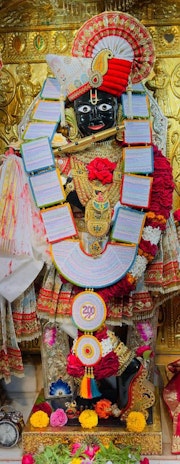 Gadhada Temple Murti Darshan
