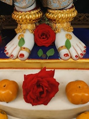 Harrow Temple Murti Darshan