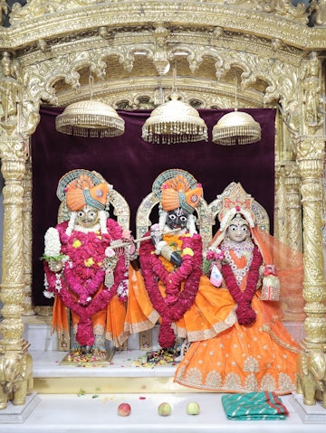 Junagadh Temple Murti Darshan