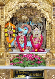 Junagadh Temple Murti Darshan