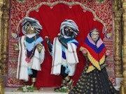 Junagadh Temple Murti Darshan