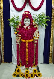 Mandvi Temple Murti Darshan