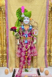 Mandvi Temple Murti Darshan