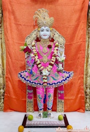 Mandvi Temple Murti Darshan