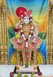Mandvi Temple Murti Darshan
