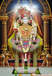 Mandvi Temple Murti Darshan