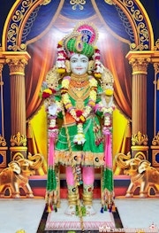 Mandvi Temple Murti Darshan