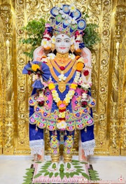 Mandvi Temple Murti Darshan