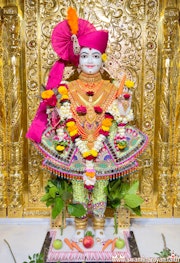 Mandvi Temple Murti Darshan