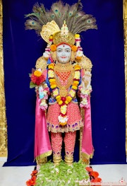 Mandvi Temple Murti Darshan