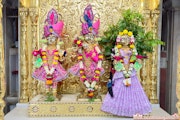 Mandvi Temple Murti Darshan