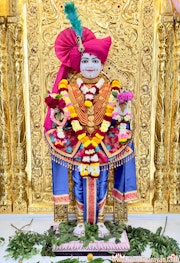 Mandvi Temple Murti Darshan