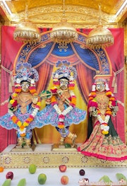 Mandvi Temple Murti Darshan