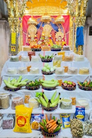 Mandvi Temple Murti Darshan