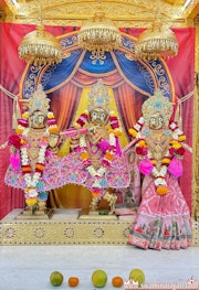 Mandvi Temple Murti Darshan