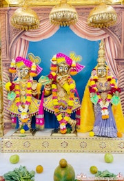 Mandvi Temple Murti Darshan