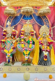Mandvi Temple Murti Darshan