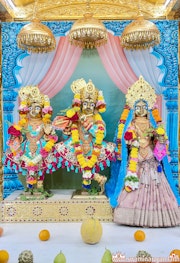 Mandvi Temple Murti Darshan