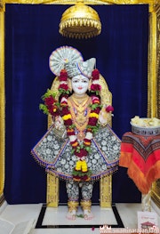 Mandvi Temple Murti Darshan