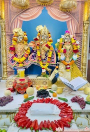 Mandvi Temple Murti Darshan