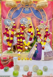Mandvi Temple Murti Darshan