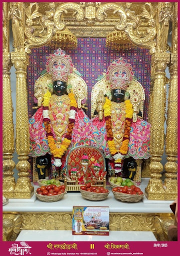 Muli Temple Murti Darshan