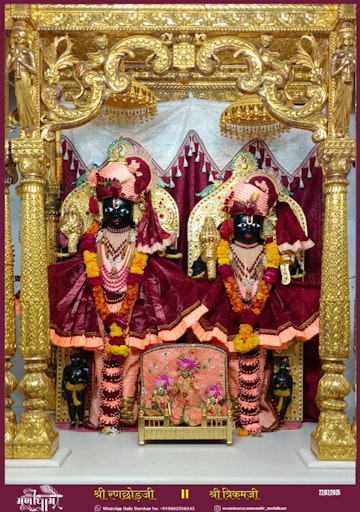 Muli Temple Murti Darshan