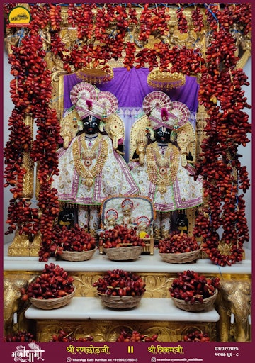 Muli Temple Murti Darshan