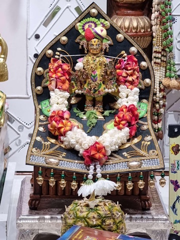 Perth Temple Murti Darshan