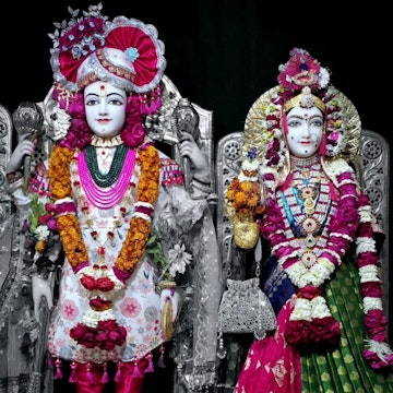 Rajkot Temple Murti Darshan