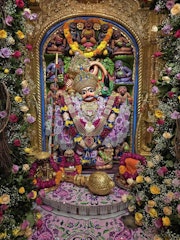 Sarangpur Temple Murti Darshan