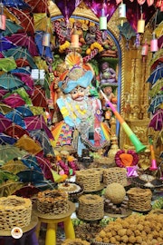 Sarangpur Temple Murti Darshan