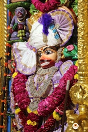 Sarangpur Temple Murti Darshan