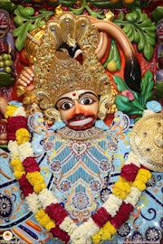 Sarangpur Temple Murti Darshan