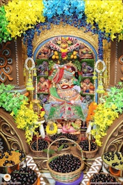 Sarangpur Temple Murti Darshan