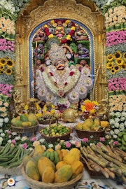 Sarangpur Temple Murti Darshan